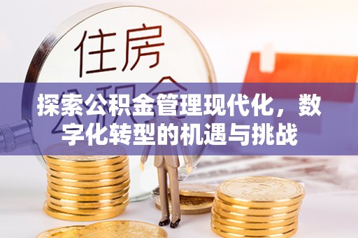 和田探索公积金管理现代化，数字化转型的机遇与挑战