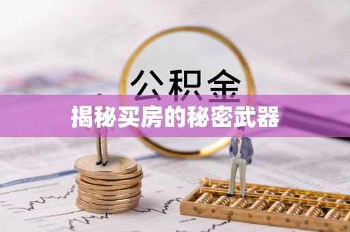 和田揭秘买房的秘密武器