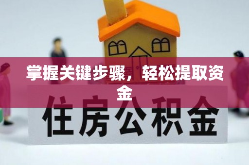 和田掌握关键步骤，轻松提取资金