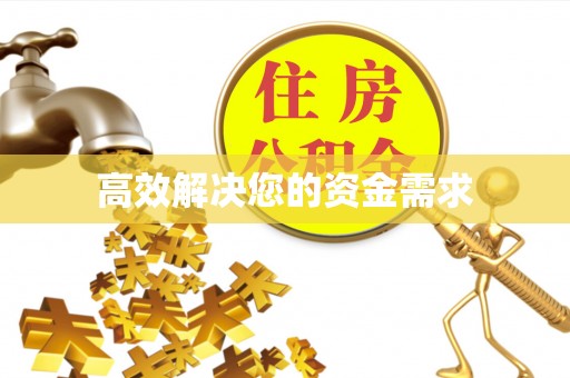 和田高效解决您的资金需求