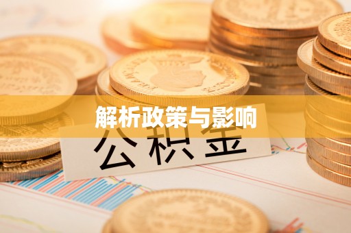 和田解析政策与影响