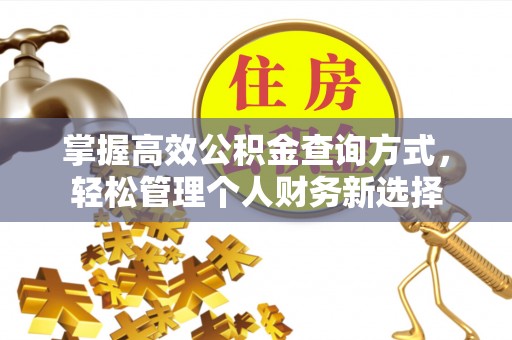 和田掌握高效公积金查询方式，轻松管理个人财务新选择