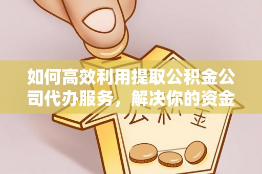 和田如何高效利用提取公积金公司代办服务，解决你的资金难题