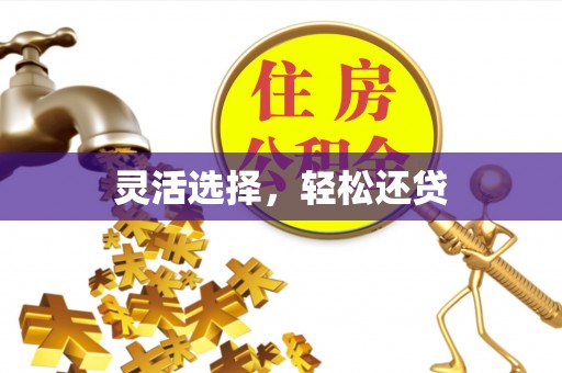 和田灵活选择，轻松还贷