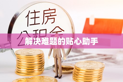 和田解决难题的贴心助手