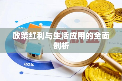 和田政策红利与生活应用的全面剖析