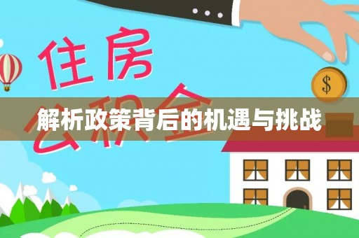 和田解析政策背后的机遇与挑战