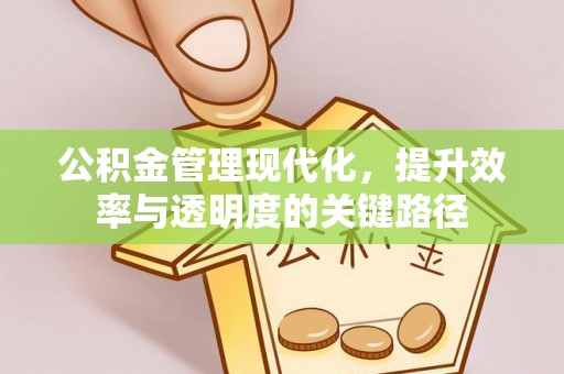 和田公积金管理现代化，提升效率与透明度的关键路径