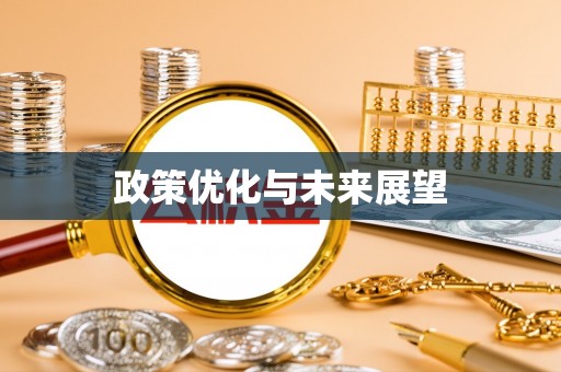 和田政策优化与未来展望