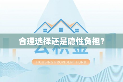 和田合理选择还是隐性负担？