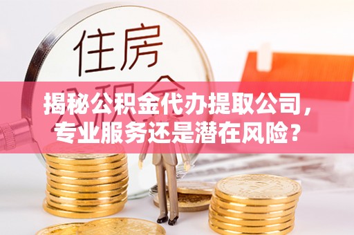 和田揭秘公积金代办提取公司，专业服务还是潜在风险？