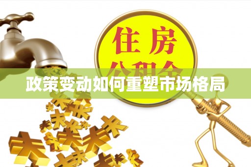 和田政策变动如何重塑市场格局