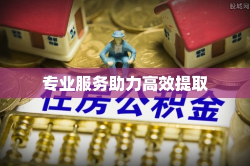 和田专业服务助力高效提取