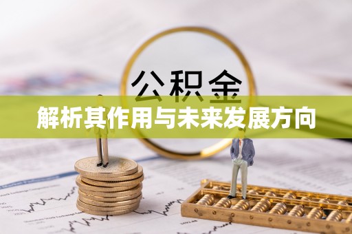 和田解析其作用与未来发展方向