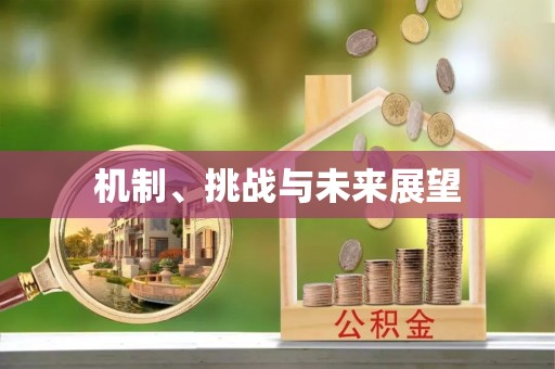 和田机制、挑战与未来展望