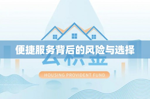 和田便捷服务背后的风险与选择