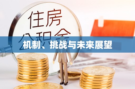 和田机制、挑战与未来展望
