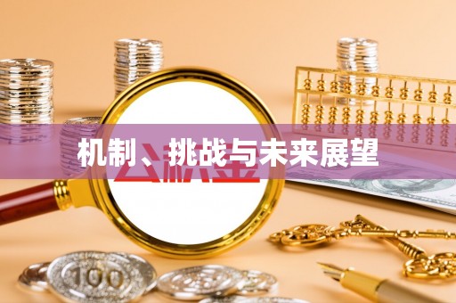 和田机制、挑战与未来展望